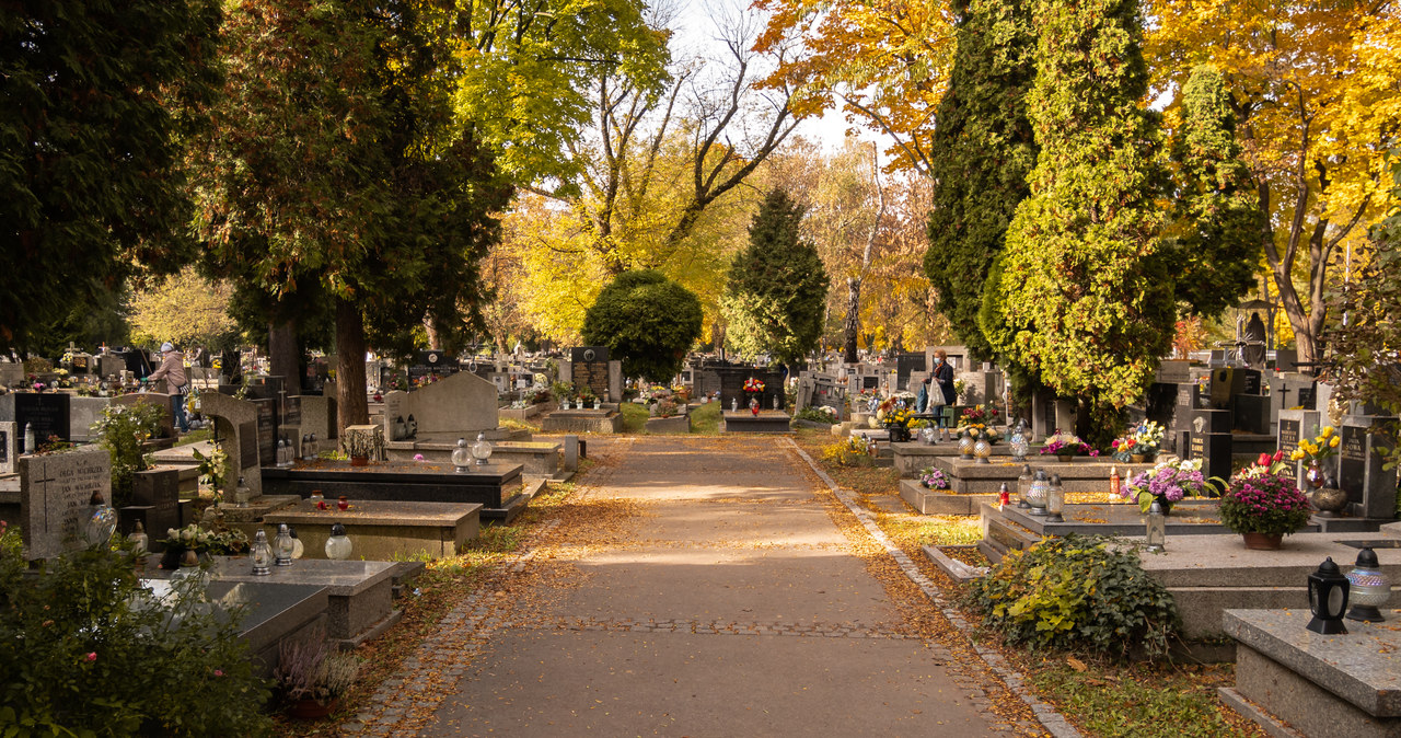 Kraków: Meleksy dowożą seniorów na groby bliskich