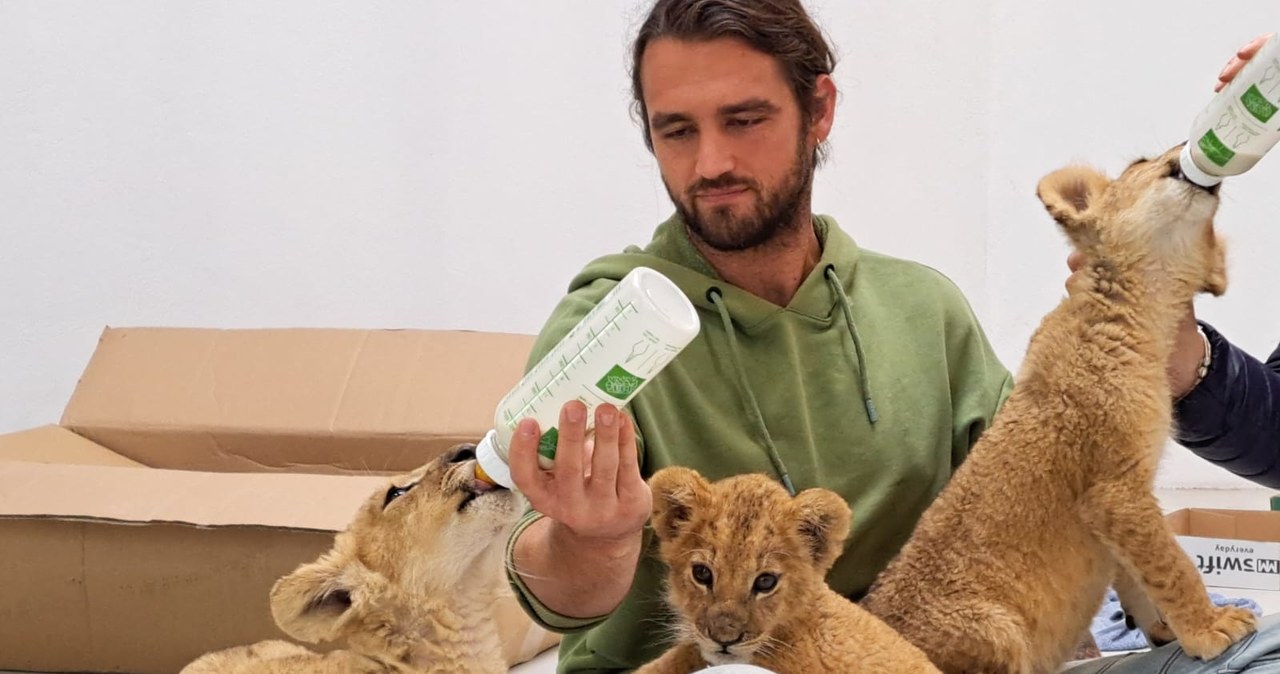 Poznańskie zoo uratowało 200 zwierząt z Ukrainy. Właśnie przyjechał kolejny transport