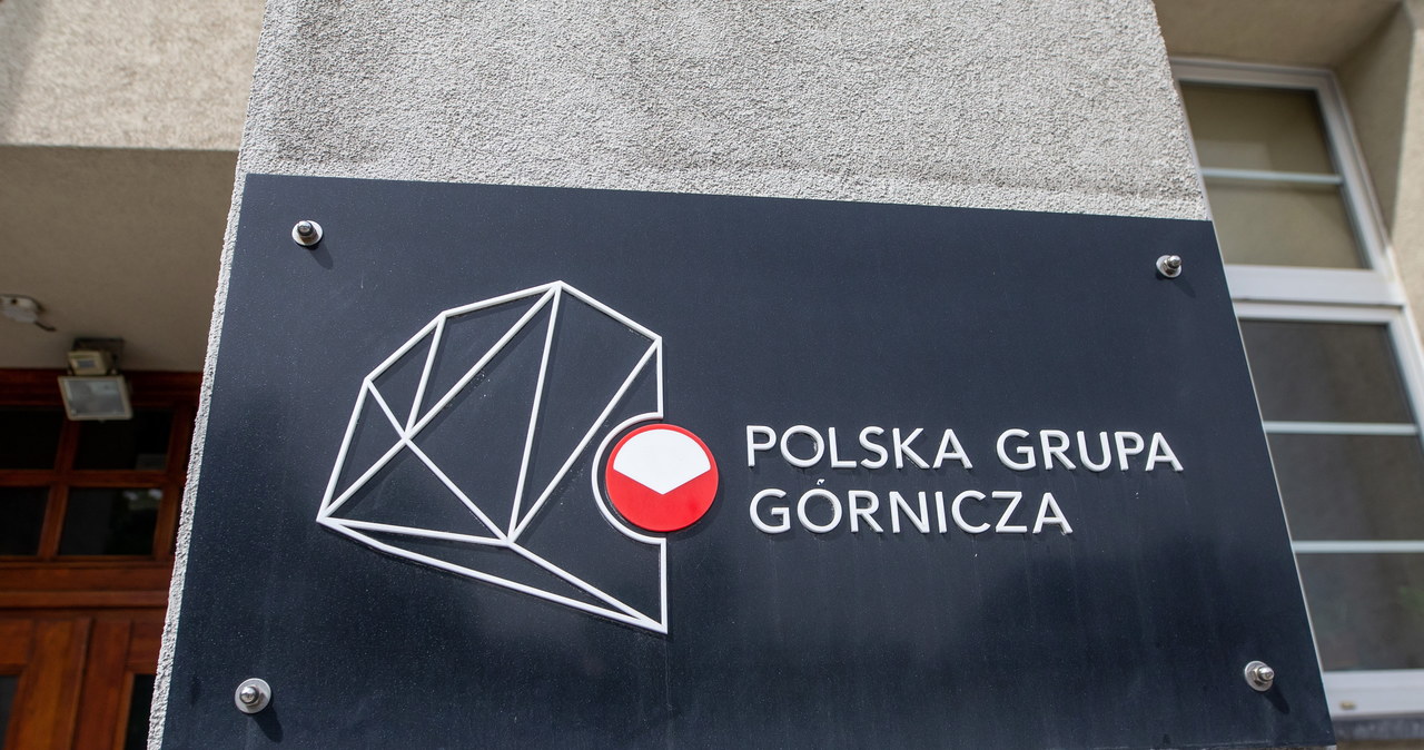 Skarb Państwa został jedynym właścicielem PGG