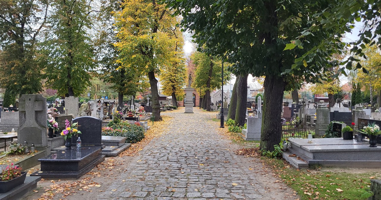Stary cmentarz w Ostrowie Wielkopolskim. Jedna z najstarszych nekropolii w Polsce