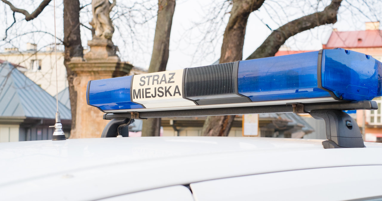 ​Strażnicy miejscy patrolują cmentarze z noktowizorami i kamerami termowizyjnymi