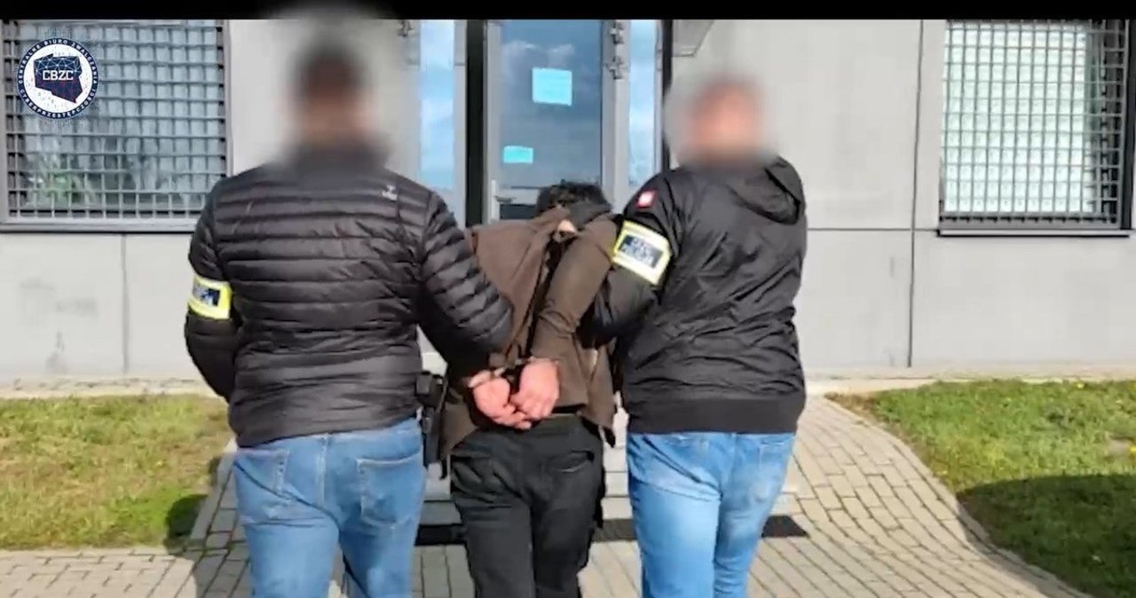 Ofiarami były nawet niemowlęta. Wielka akcja wymierzona w pedofili