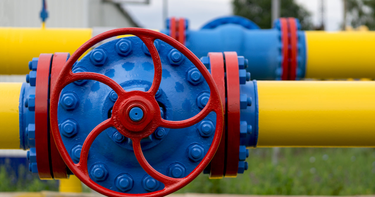 Rząd złożył skargę do TSUE na rozporządzenie o redukcji gazu