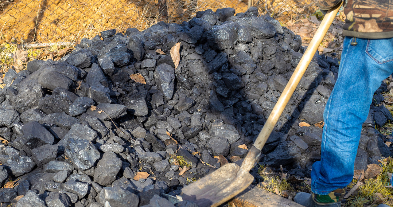 Samorządy mają trzy dni na decyzję, czy chcą sprzedawać węgiel