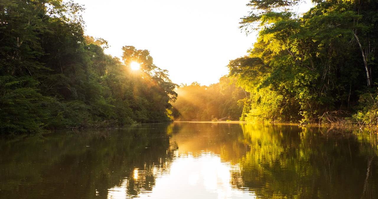 Wypuszczono turystów uwięzionych w Puszczy Amazońskiej