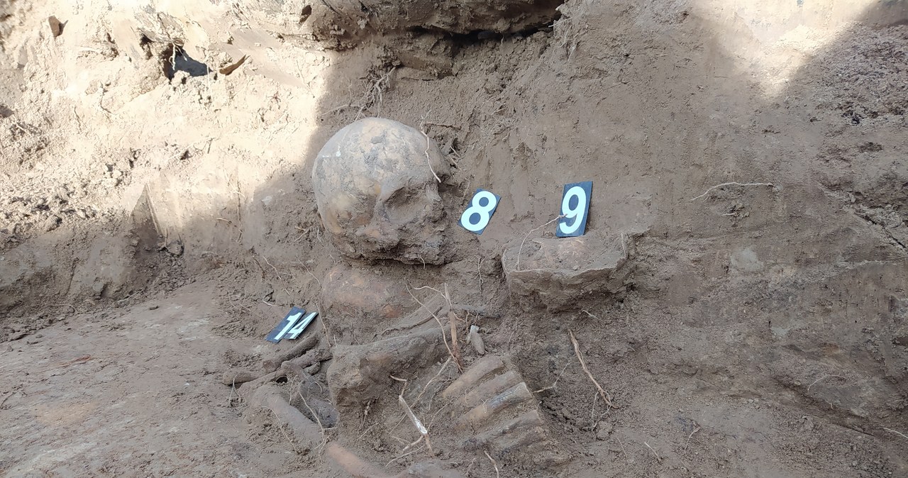 To już pewne. Pod ul. Królowej Jadwigi w Krakowie jest cmentarz