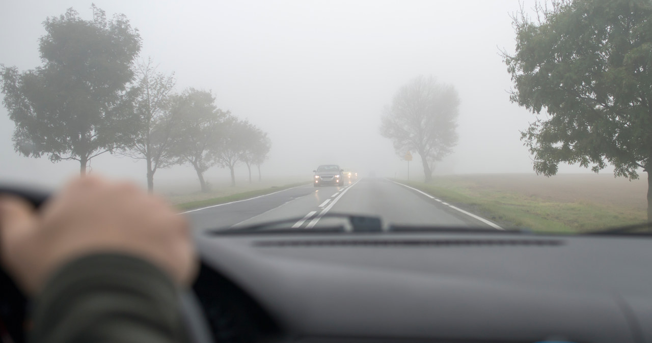 Jaka pogoda na długi weekend? Są prognozy synoptyków