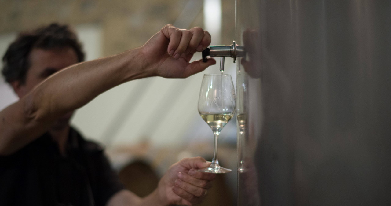 Wino z Bordeaux będzie na wagę złota? To konsekwencja suszy