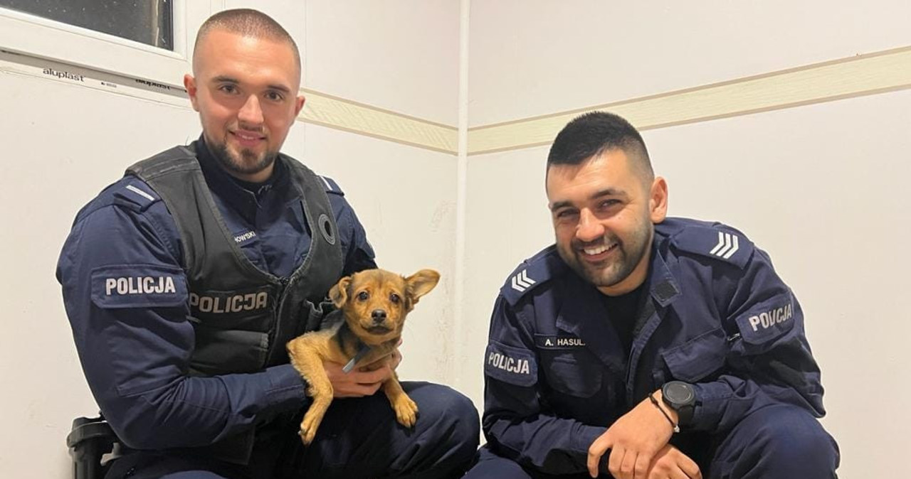 Piesek sam w domu. Uratowali go sąsiedzi i policjanci