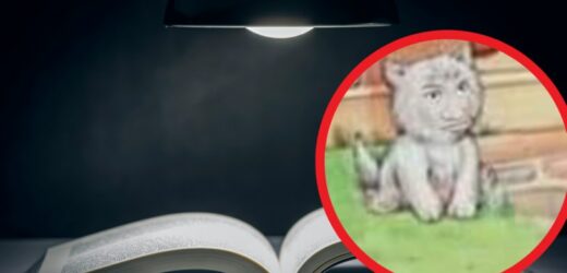 Znaleźli to w książce dla dzieci. Ludziom puściły nerwy