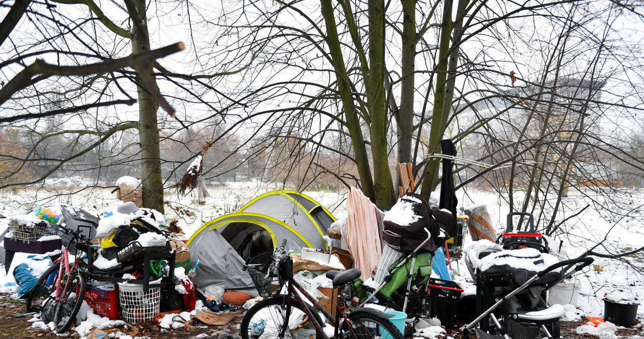 Z 2-letnią córką mieszkała w namiocie w lesie. Są zarzuty dla 24-latki