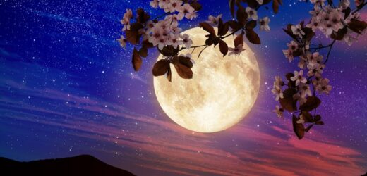Horoskop na grudzień 2022 r. dla wszystkich znaków zodiaku