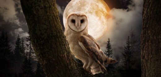 Horoskop tygodniowy dla wszystkich znaków zodiaku. Co przyniosą najbliższe dni? [19-25.12.2022 r.]