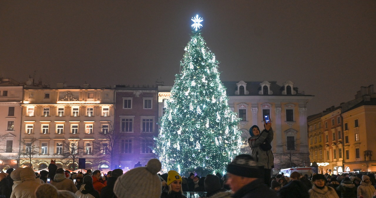 Energooszczędna choinka na Rynku Głównym w Krakowie już świeci!