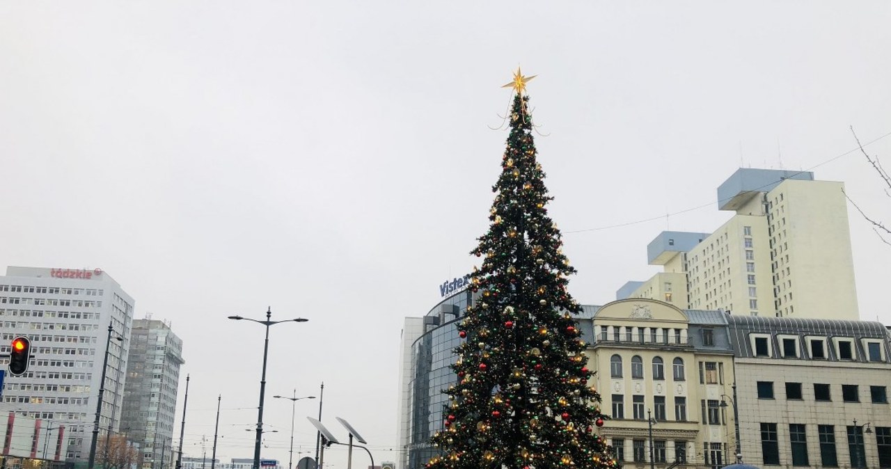 ​Największa łódzka choinka stoi przy Przystanku Centrum