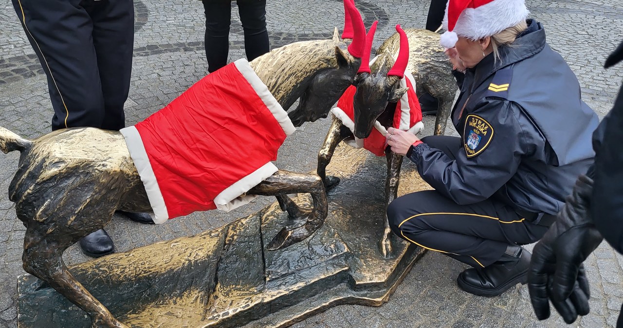 Pyrek i Tyrek w świątecznych strojach