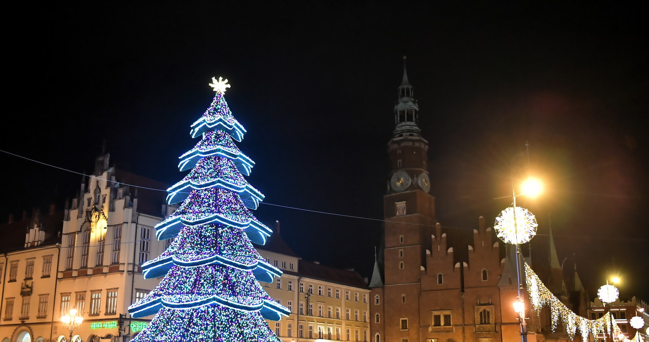 Wrocławska choinka w pełnym blasku. Rozświetliło ją 150 tysięcy światełek