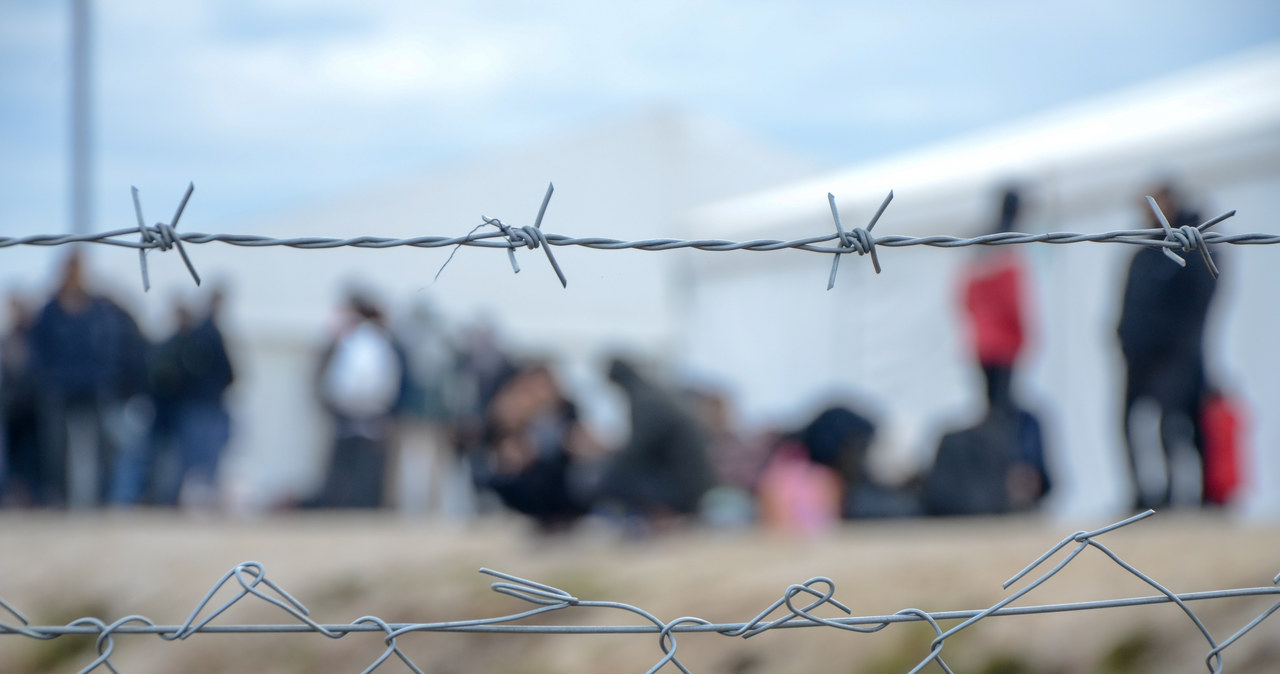 Europol rozbił grupę przemycającą migrantów przez Białoruś m.in. do Polski