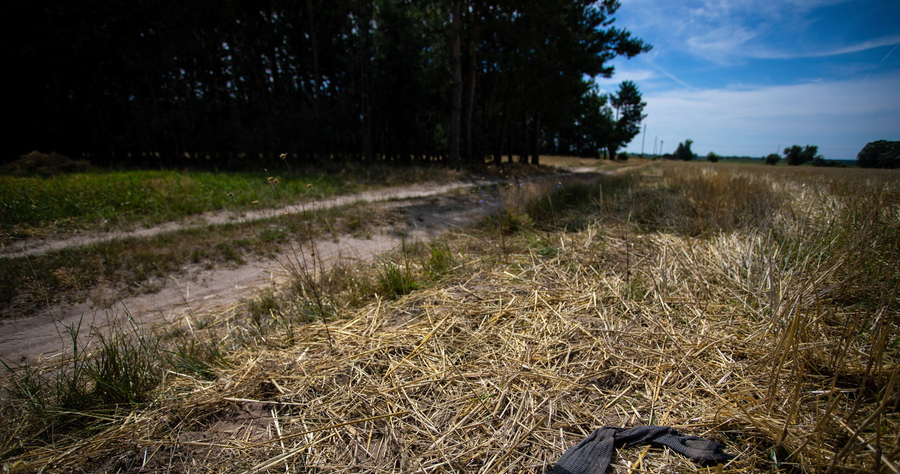 48-latek zagryziony przez psy. Właściciel zwierząt stanie przed sądem