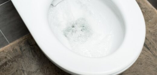 Nie zamykasz klapy sedesowej? Obejrzyj ten filmik, a zaczniesz to robić