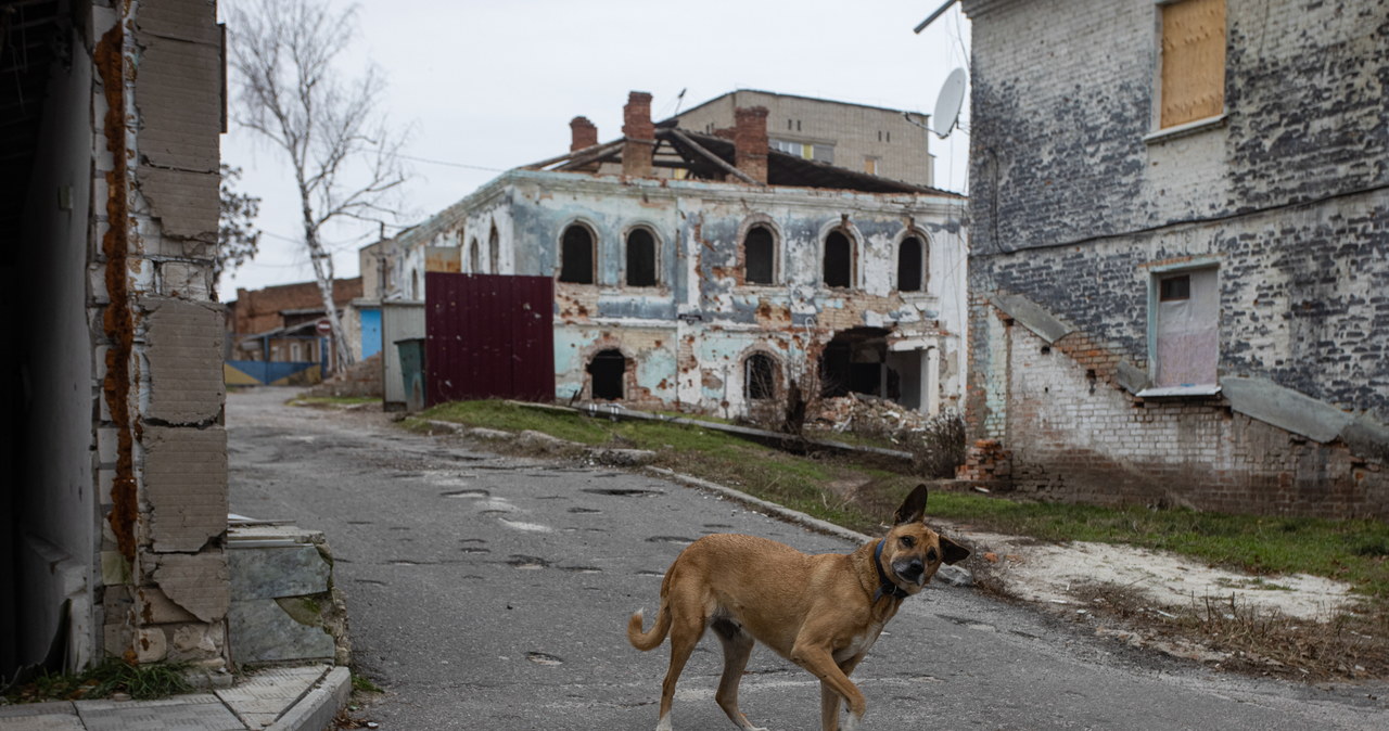 ISW: Rosjanie dążą do przerwy operacyjnej