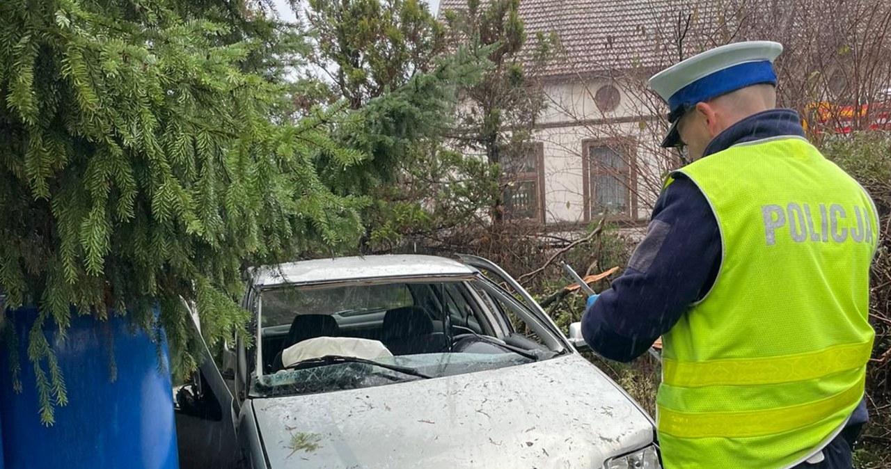 Auto wpadło w ogrodzenie. Dwie osoby ciężko ranne