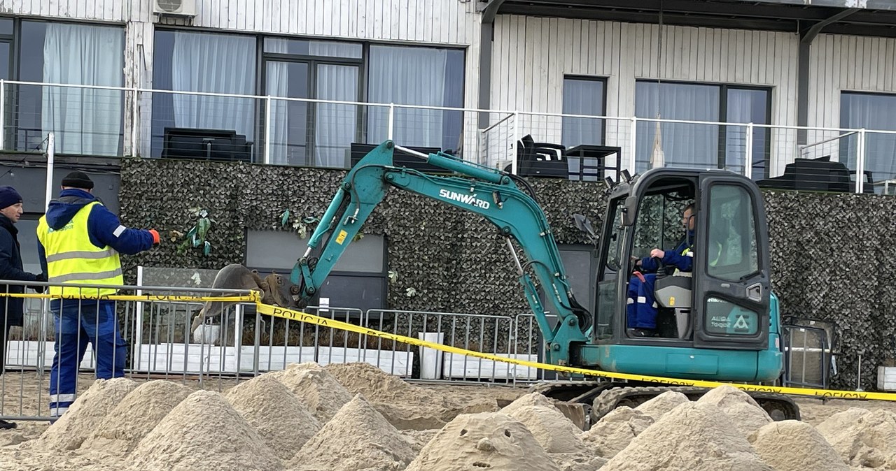 Zaginięcie Iwony Wieczorek. Dlaczego śledczych znów interesuje Zatoka Sztuki?