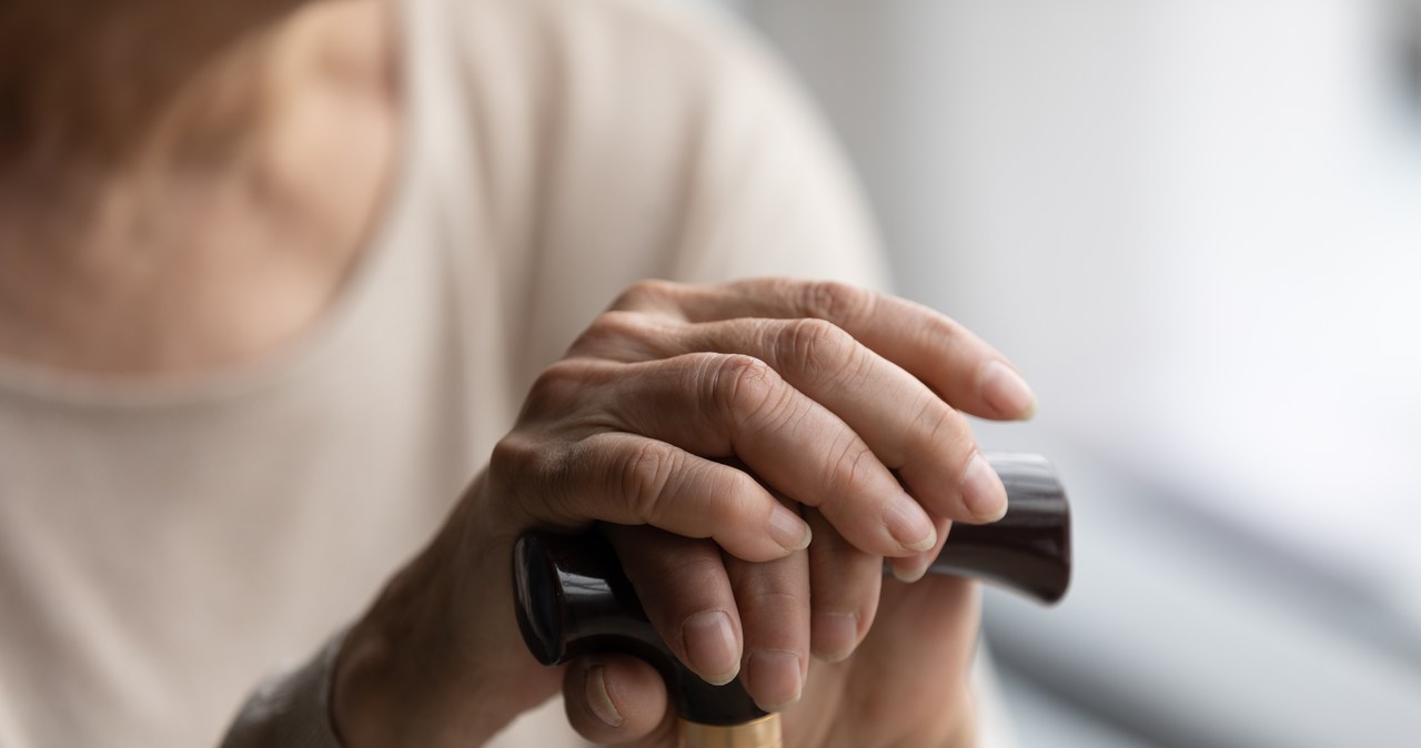 Seniorki pobiły się o mężczyznę w Tarnobrzegu. Z zazdrości…