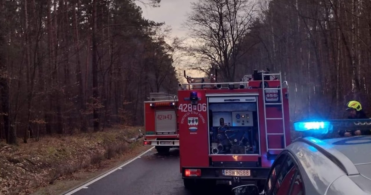 Tragiczny wypadek w Lubuskiem. Dwie osoby zginęły