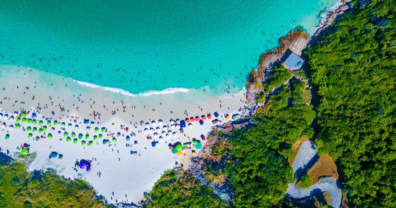 Panika na plaży w Brazylii. Plażowicze myśleli, że trwa atak rekinów