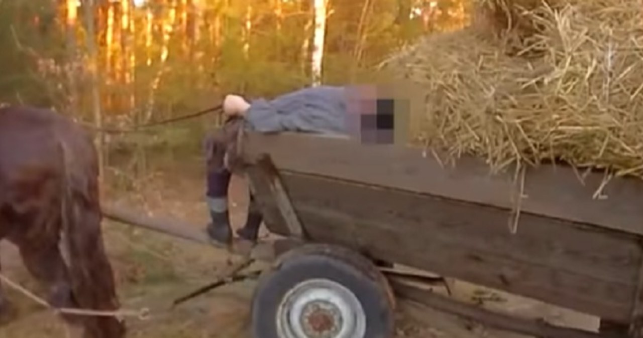 Furmanka w poprzek drogi i leżący woźnica z 3 promilami