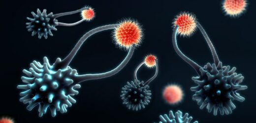 Amerykańscy mikrobiolodzy odkryli pierwsze organizmy, które żywią się wirusami