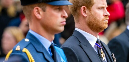 Książę Harry wyjawił, że to William nakłonił go do założenia munduru nazisty