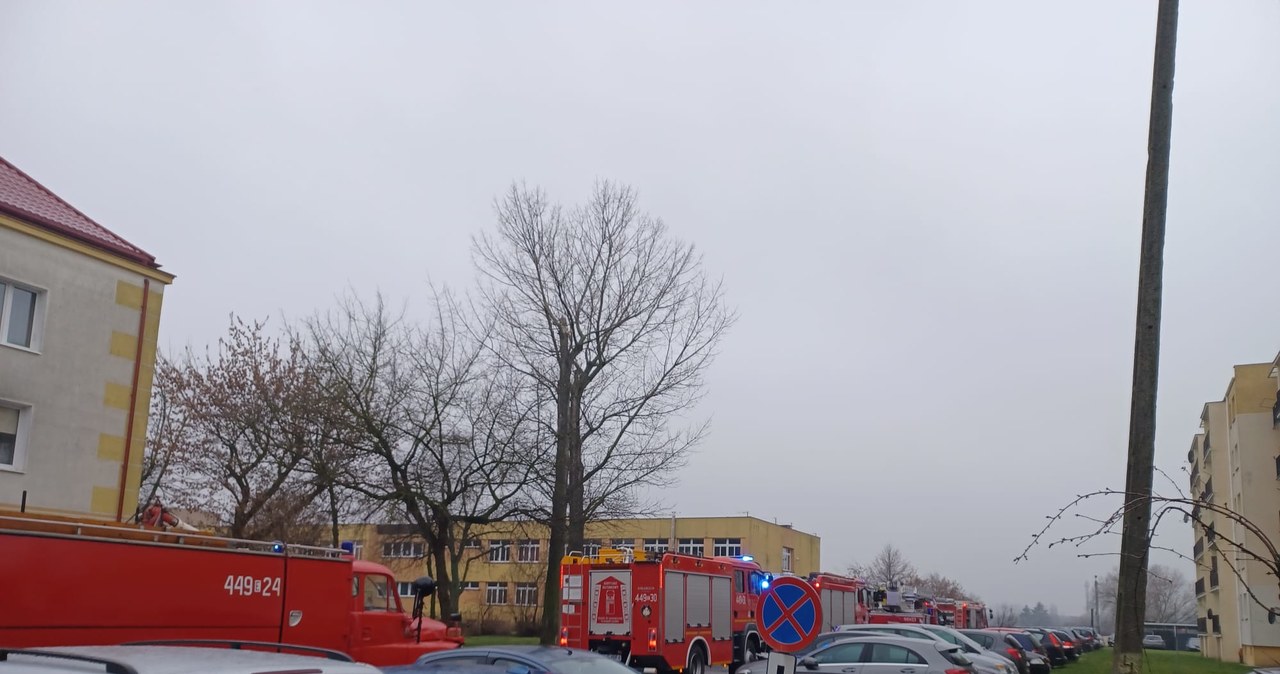 Pożar w szkole w Łęczycy. Zapaliła się tablica interaktywna [ZDJĘCIA]