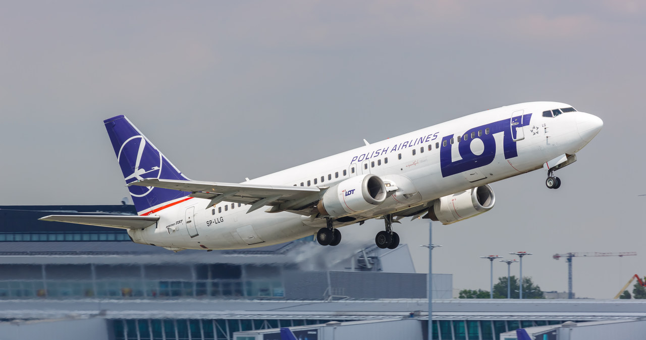 LOT kusi promocjami. Najtańszy bilet kosztuje 99 zł