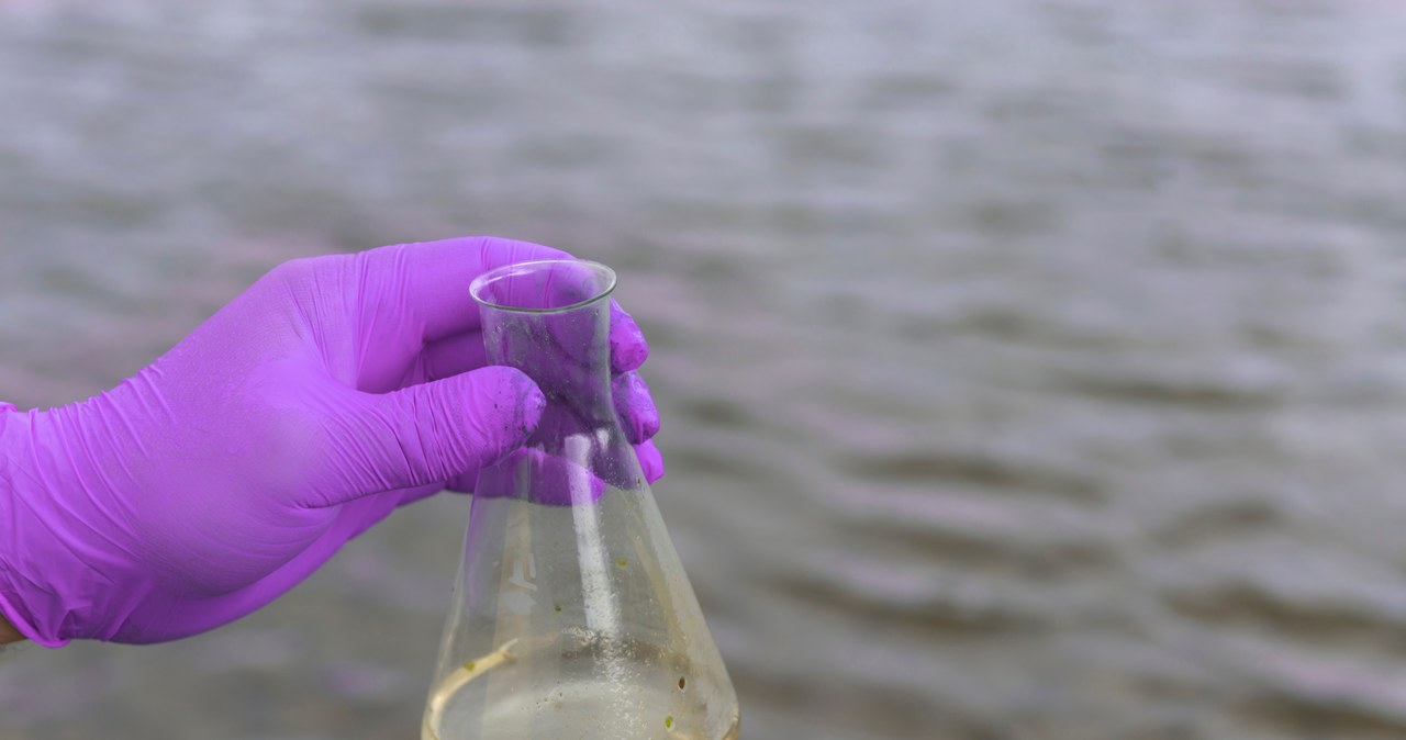 ​Chemikalia w olsztyńskiej Łynie. Skąd pochodzi zanieczyszczenie?