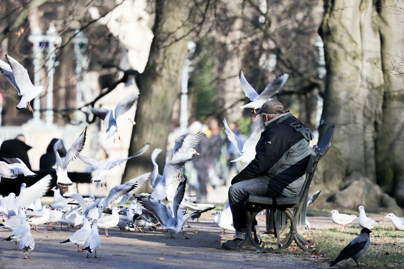 Nawet 500 zł dodatku do emerytury. Sprawdź, ile mogą zyskać seniorzy po 65. roku życia