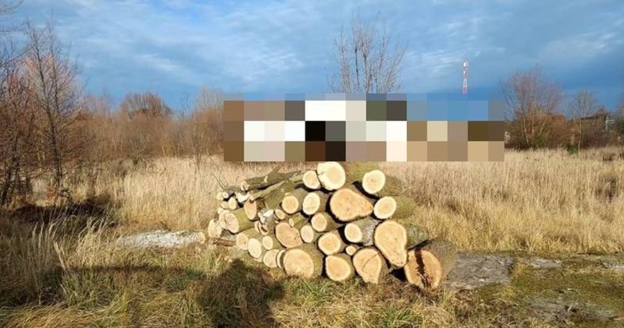 ​Złamał zakaz kierowania pojazdem, odpowie za wycinkę drzew