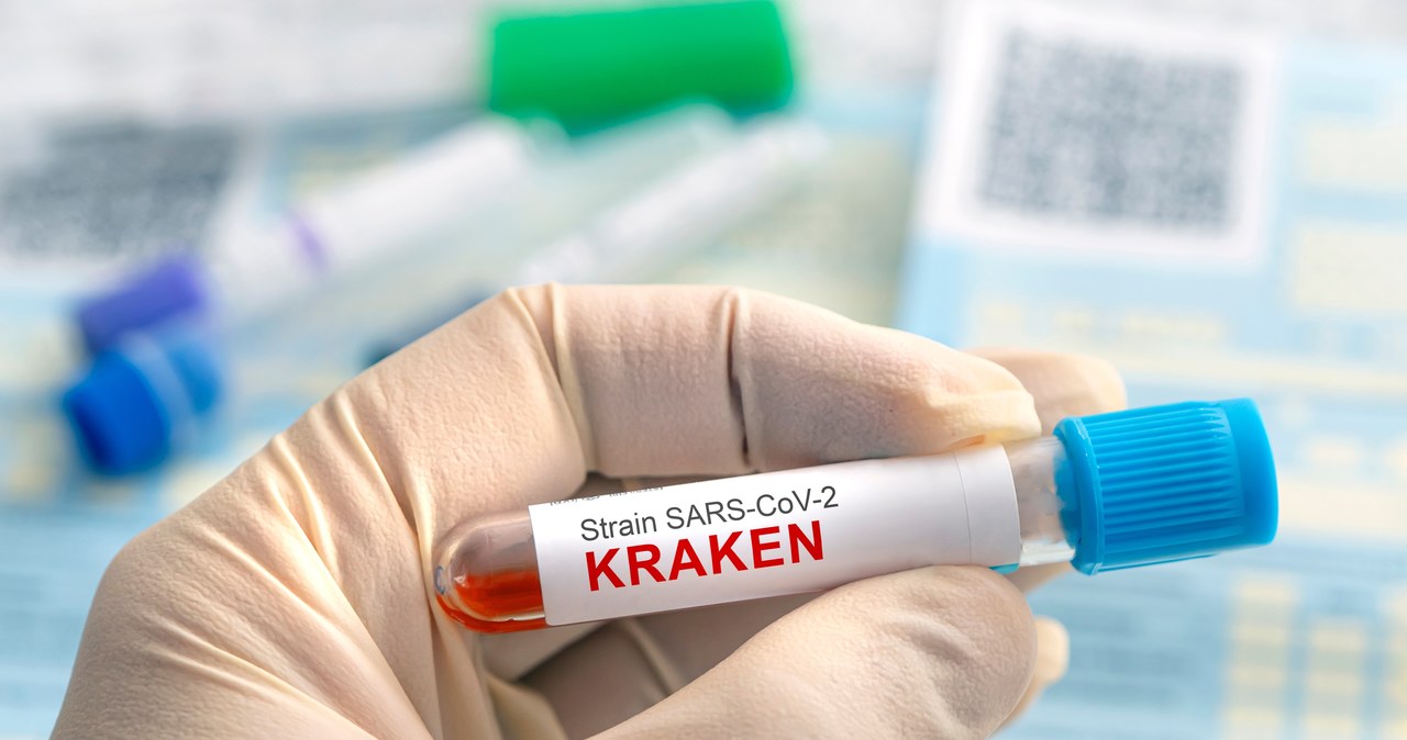 Kraken w Polsce. Kraska o możliwym szczycie zachorowań