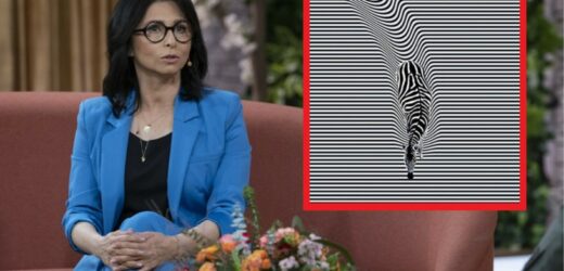 Aida publikuje zagadkowe zdjęcie. Polacy dziękują: „Porusza moje wewnętrze dziecko”