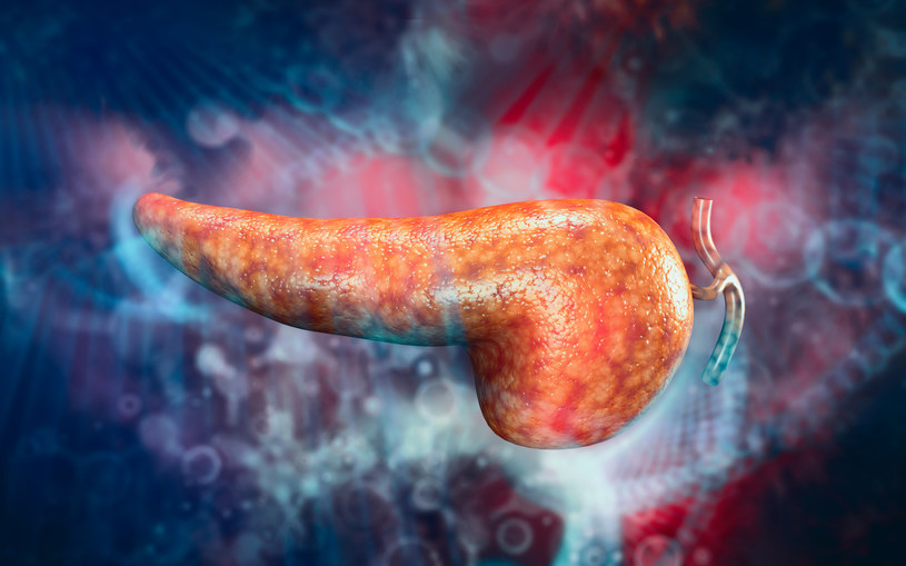 Mądra dieta naturalną tarczą obronną dla trzustki
