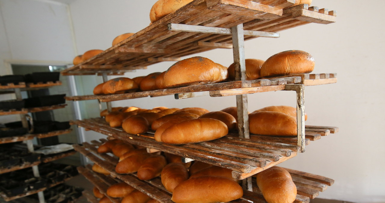 Tańszy gaz dla piekarni i cukierni. Sejm uchwalił ustawę