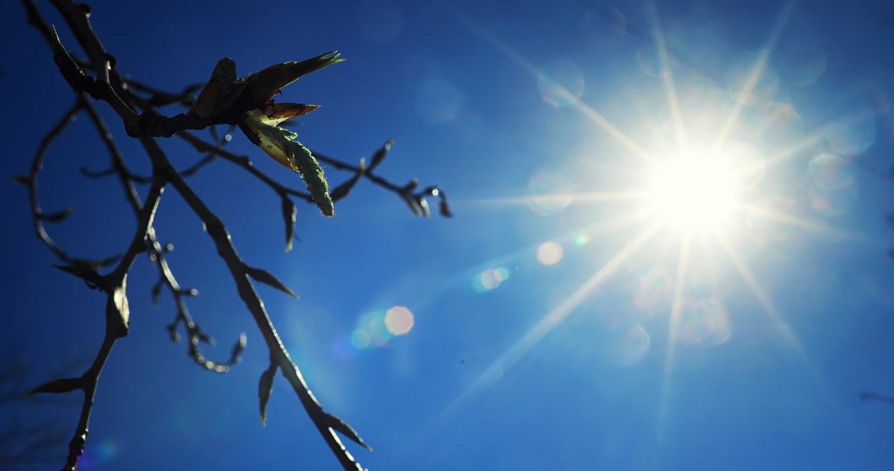 Nadchodzi odwilż. Czy to koniec zimy?