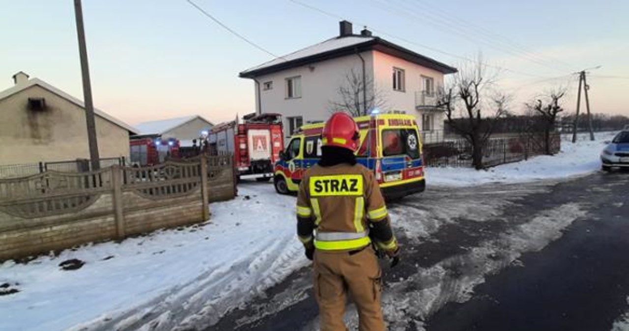 8-latek zagryziony przez psa. Nowe informacje ws. tragedii w Łódzkiem