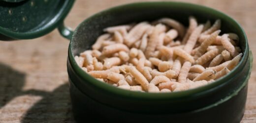 Sproszkowane robaki w produktach spożywczych. Oto, jak je rozpoznasz