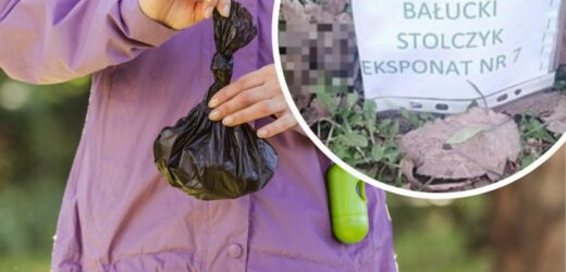 „Bałuckie Stolczyki”. Mieszkanka Łodzi zrobiła wystawę z psich kup
