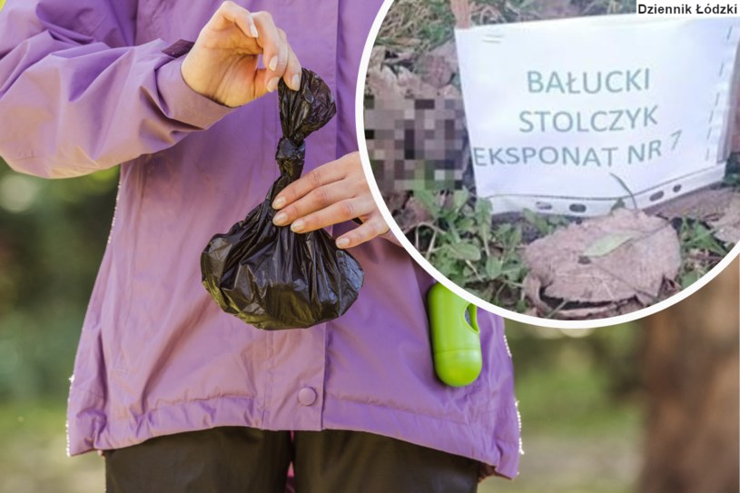 „Bałuckie Stolczyki”. Mieszkanka Łodzi zrobiła wystawę z psich kup