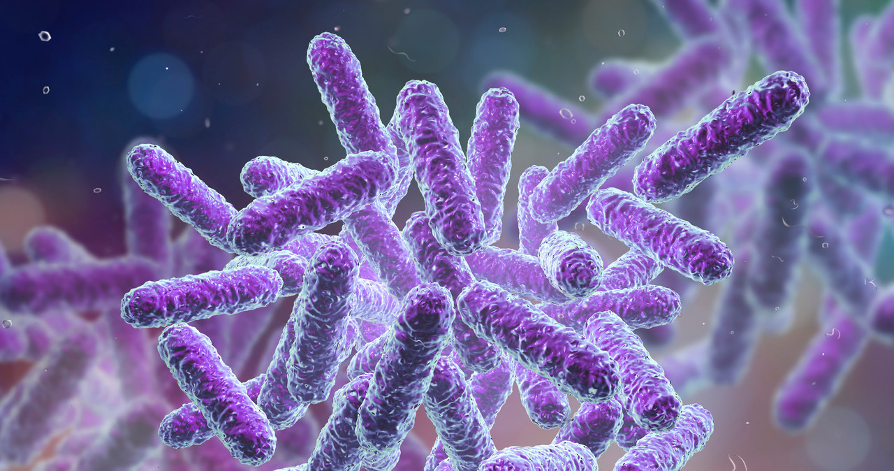 Nowy antybiotyk zwalcza nawet superbakterie