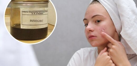 Lasy Państwowe przypominają o właściwościach dziegciu. Pomoże na problemy skórne
