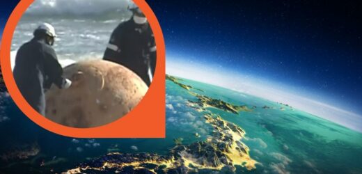 Tajemnicze znalezisko na plaży w Japonii. Pojawiły się pytania o UFO